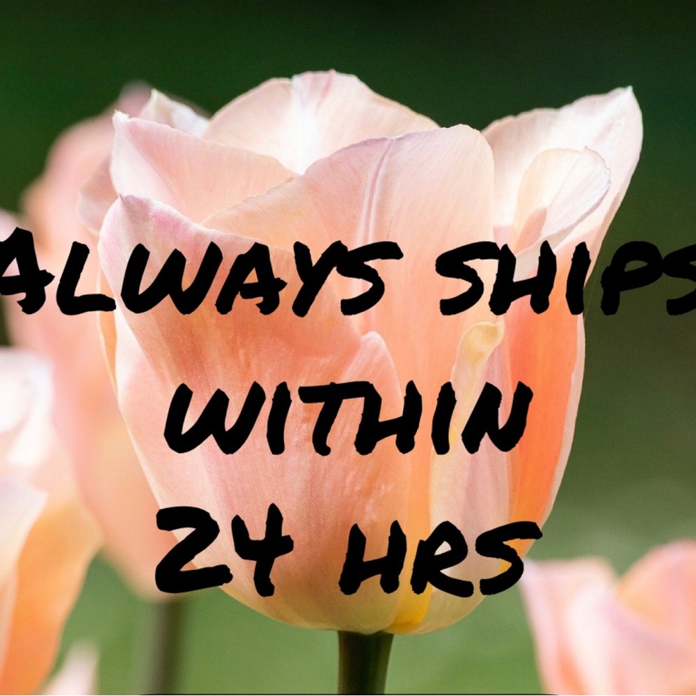 ALWAYS SHIPS W/IN 24 hrs